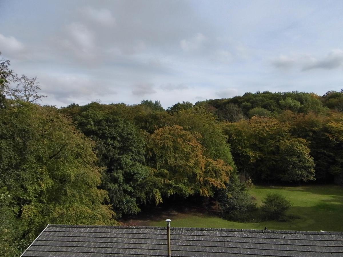 The Mill At Glynhir Bed and Breakfast Ammanford Εξωτερικό φωτογραφία